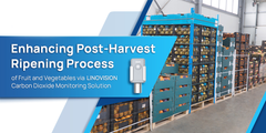 Enhancing Post-Harvest Ripening Process of Fruit and Vegetables via Linovision Carbon Dioxide Monitoring Solution