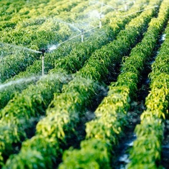 Efficiently Improves Watering System for Sustainable Agriculture in Australia